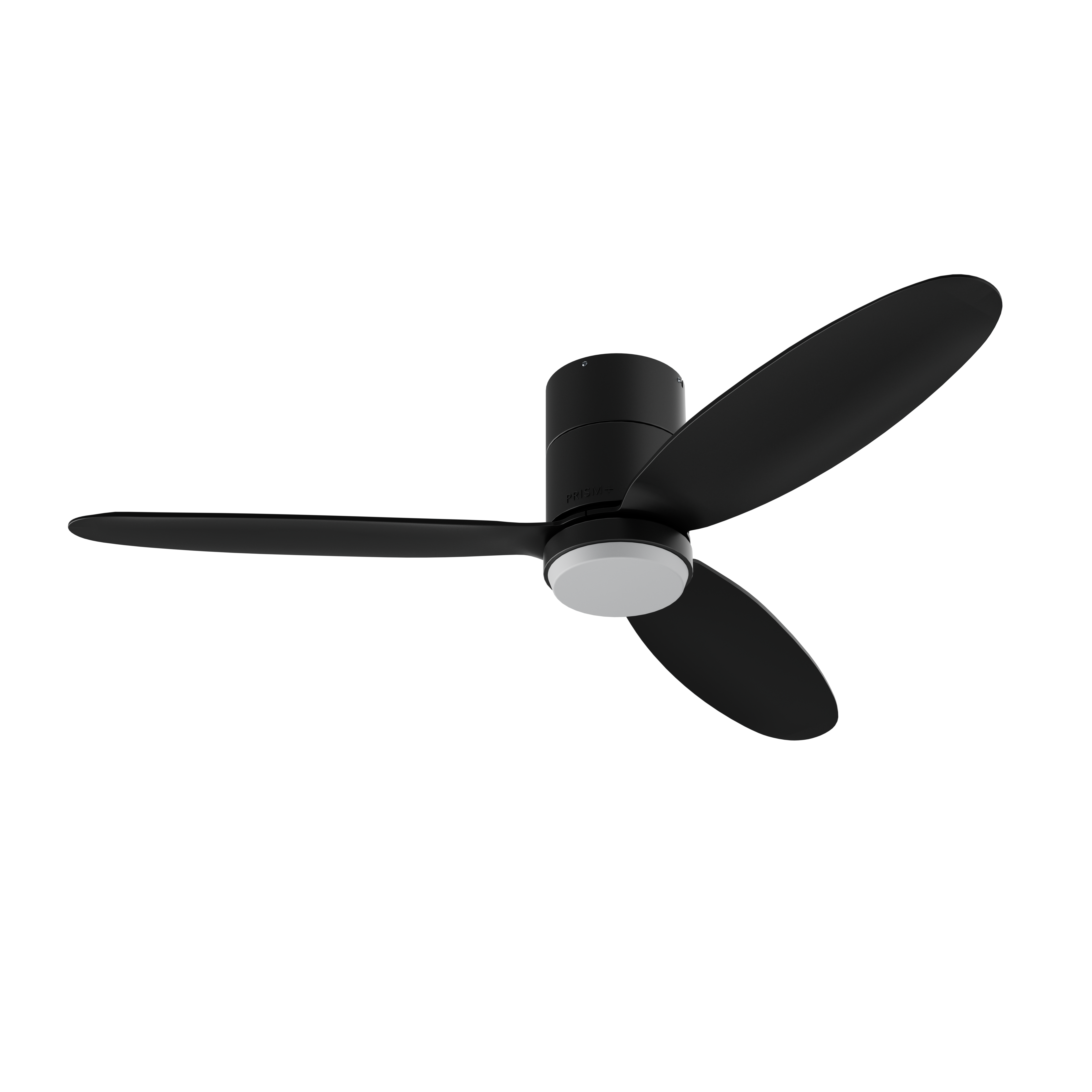 Oasis Pro